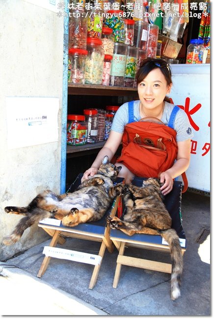 坪林老街36.JPG