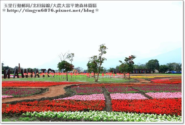 大農大富平地森林園區50.JPG