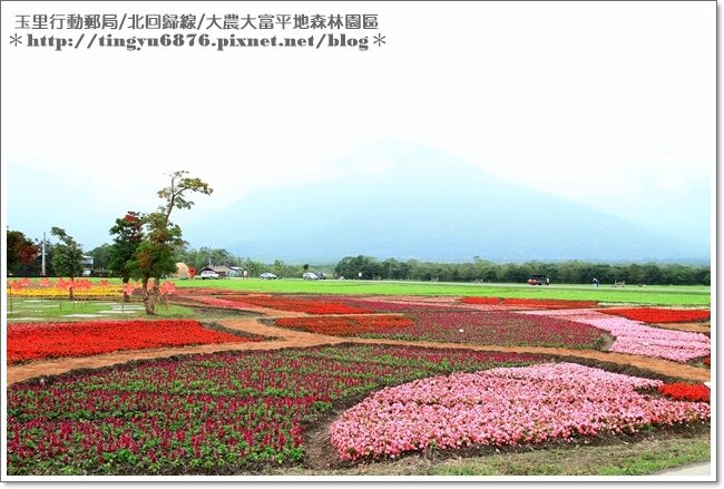 大農大富平地森林園區70.JPG