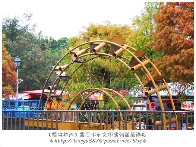 雲林林內落雨松57.JPG