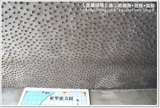 龜山島賞鯨83.JPG
