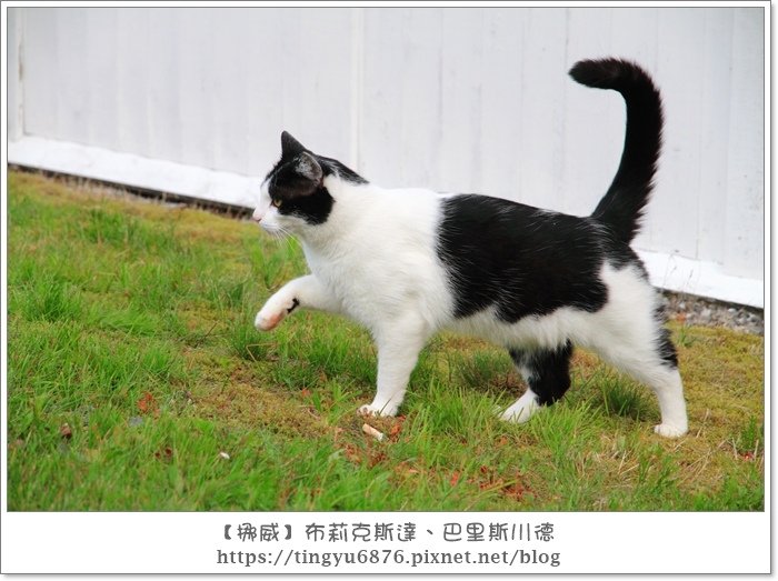 巴里斯川德199.JPG
