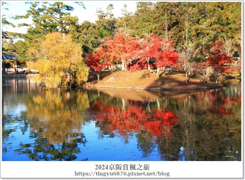 東大寺60.JPG