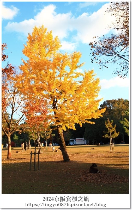 東大寺70.JPG