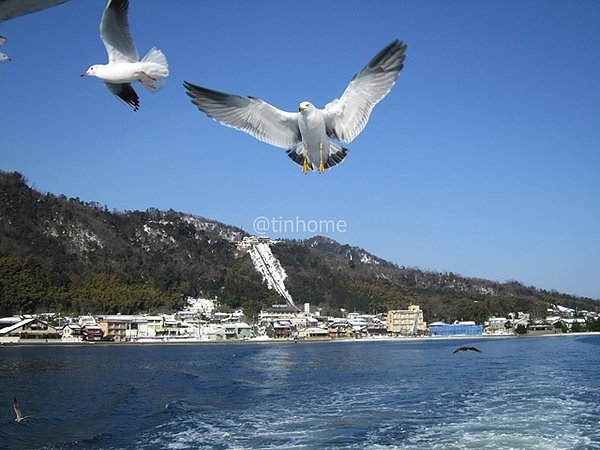 IMG_2266.JPG