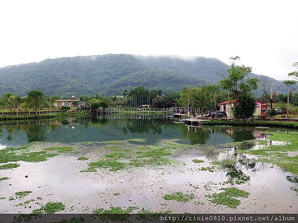 雷公埤烤魚25.JPG