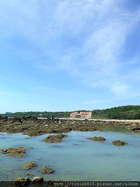 台東富山杉原5.JPG