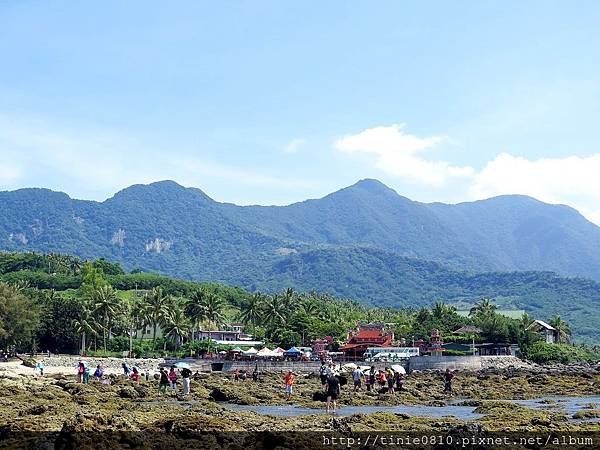 台東富山杉原16.JPG