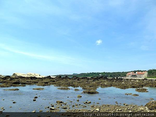 台東富山杉原26.JPG