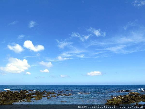 台東富山杉原66.JPG