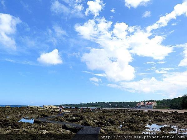 台東富山杉原70.JPG