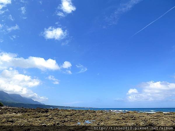 台東富山杉原74.JPG