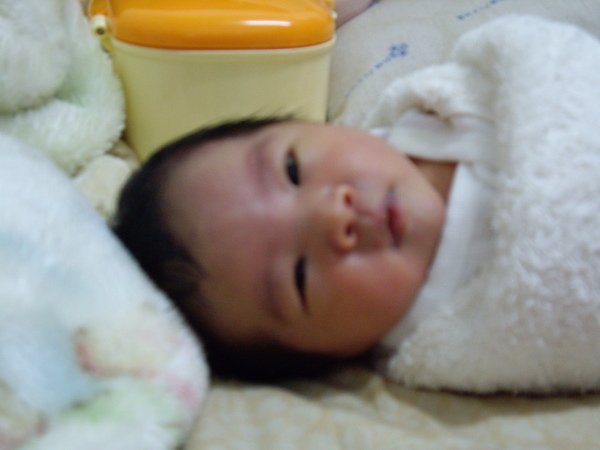 IMGP4777.JPG