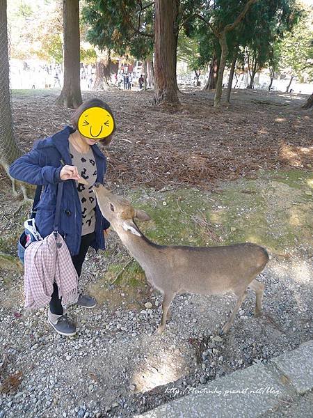 奈良