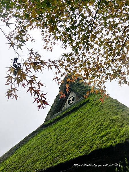 美山町