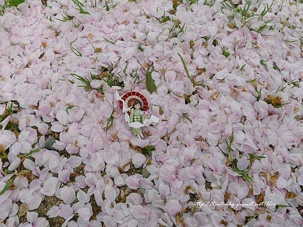 三江樂邊公園