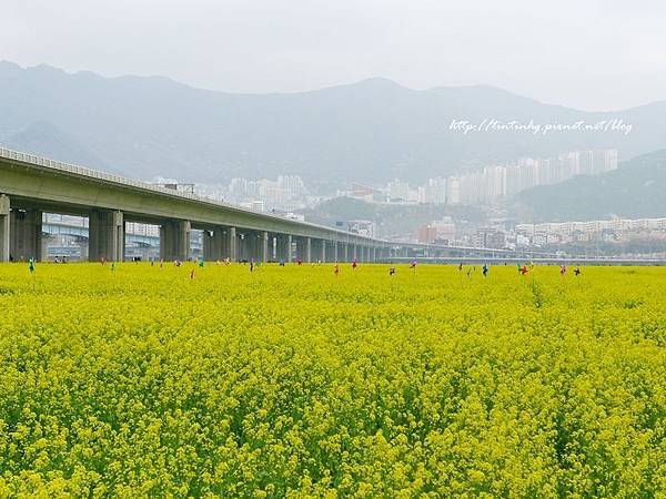 大渚生態公園