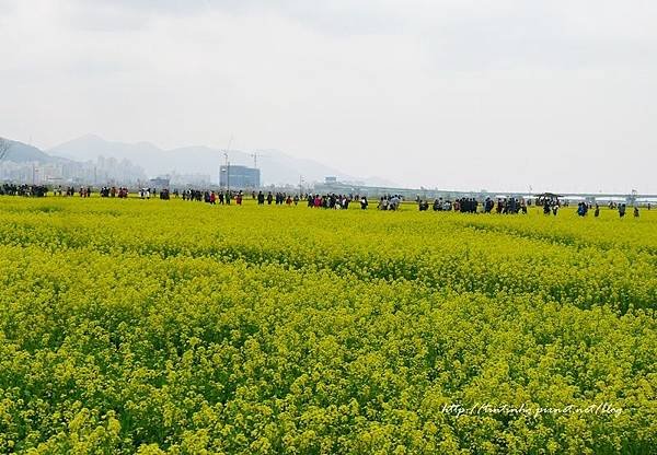 大渚生態公園