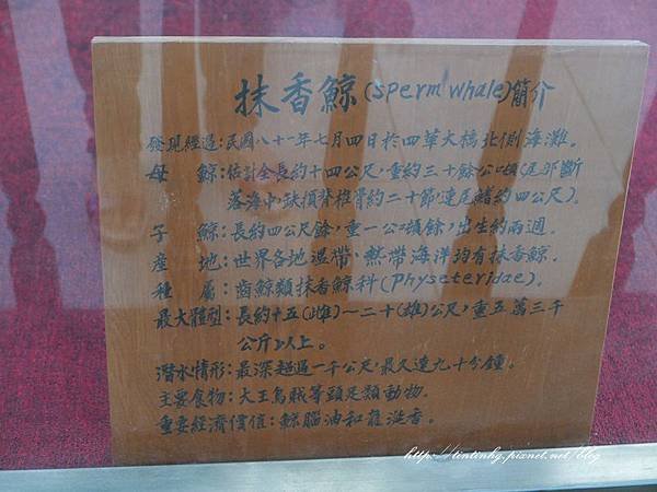 四草隧道
