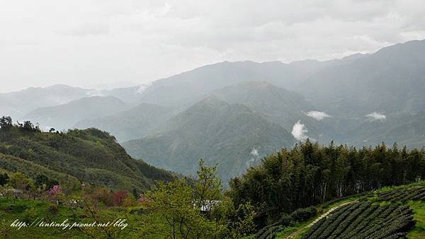山上人家