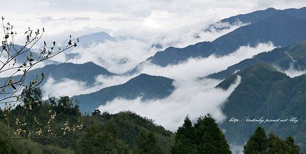山上人家