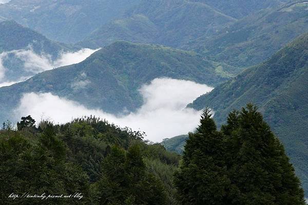 山上人家