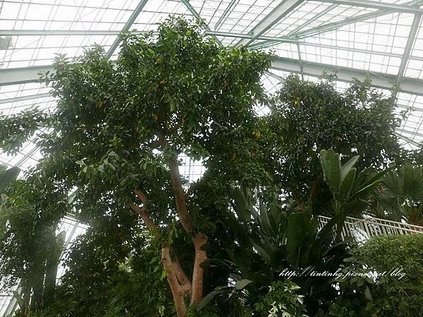 函館熱帶植物園