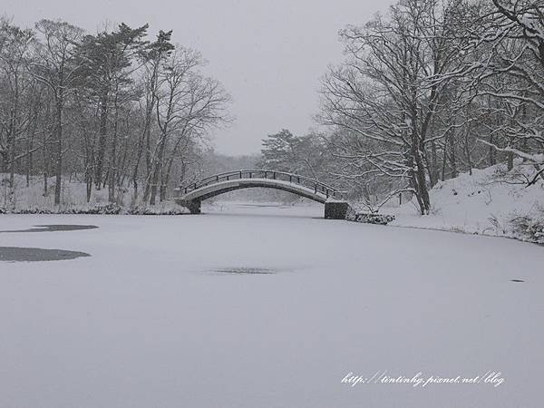 大沼公園