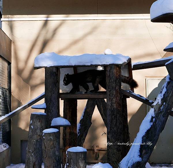 旭川動物園