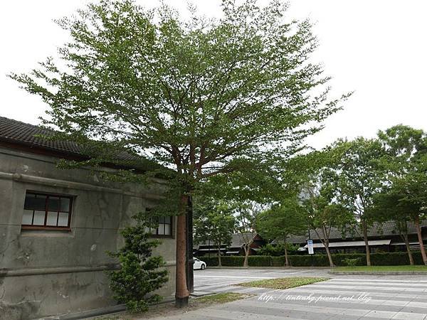 創意園區