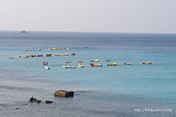 迷路小章魚