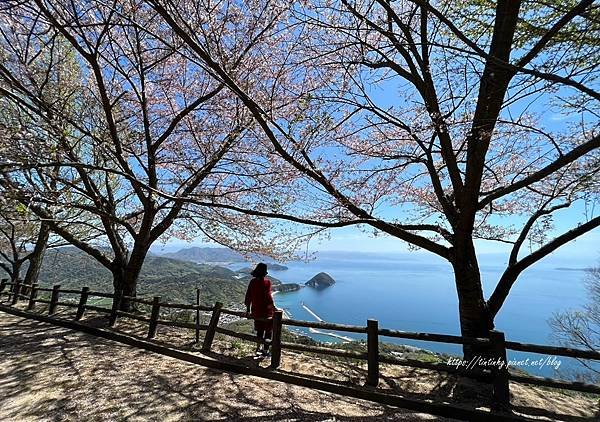 紫雲出山