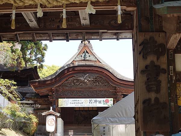 金刀
