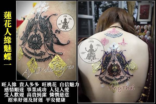 人緣魅蝶蓮花1.jpg
