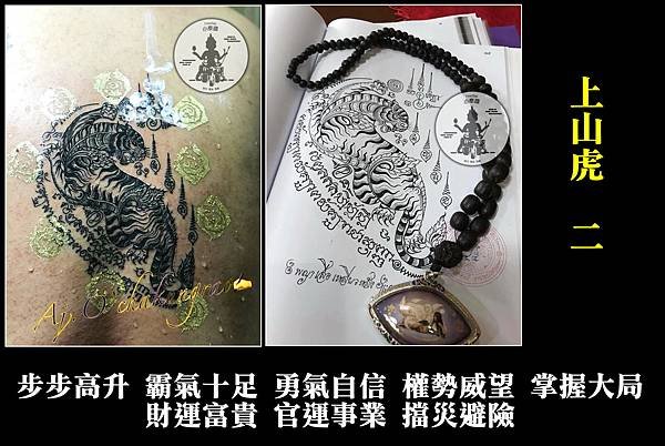 上山虎2.jpg