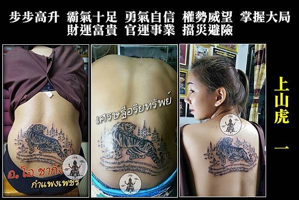 上山虎1.jpg