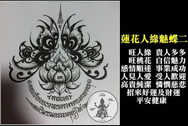 人緣魅蝶蓮花2.jpg