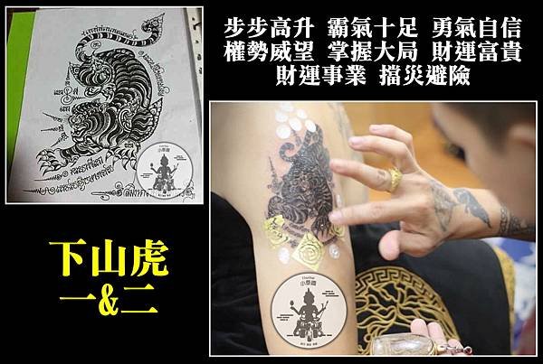 下山虎.jpg
