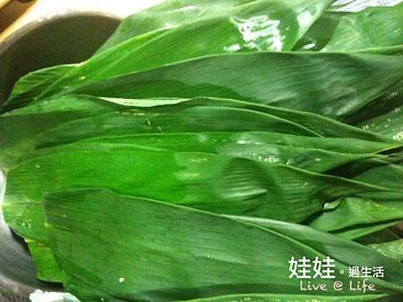 照片 023
