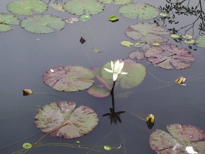 R0021709_大小 .JPG