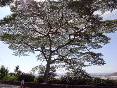 R0024992_大小 .JPG