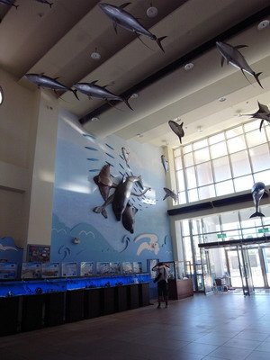 R0025267_大小 .JPG