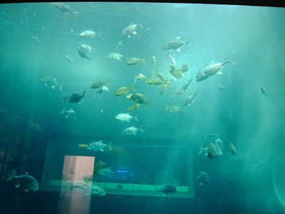 R0025275_大小 .JPG