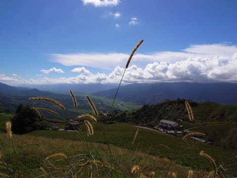 六十石山