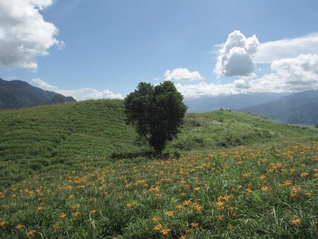 六十石山