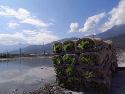 R0021080_大小 .JPG