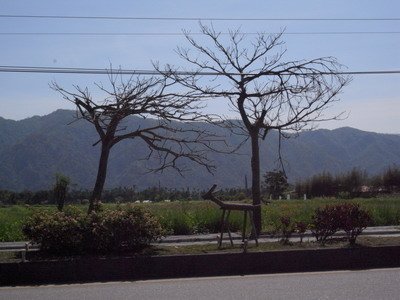 R0020935_大小 .JPG
