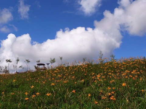 六十石山