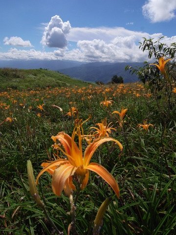 六十石山