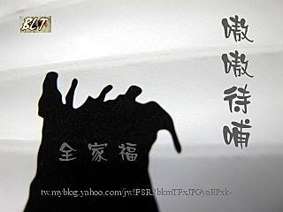 嗷嗷待哺 1